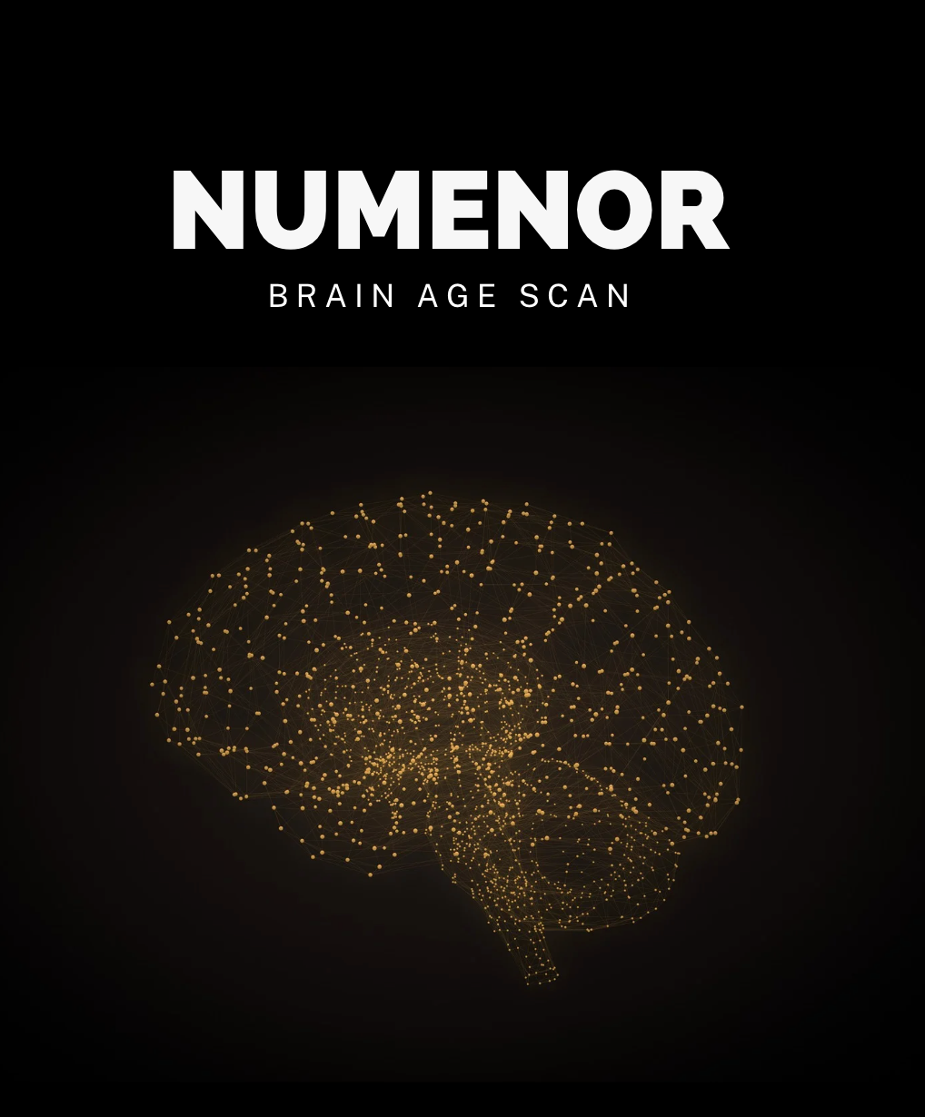 Numenor Brain Age Scan